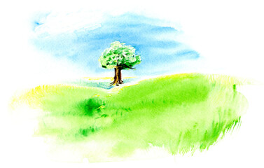 Tree in the field watercolor illustration, 600 dpi png with transparent background, graphic resources