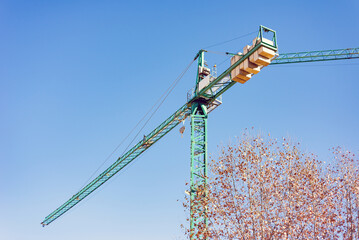 Photo of a green building crane next to the treetops against a clear blue sky photographed from below