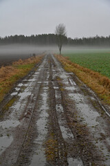 puddles of water on gravel road over fields