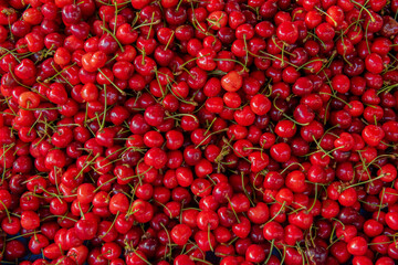 sour cherry in the market