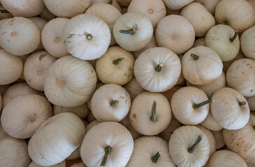 pumpkin on the market