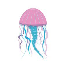 Jellyfish Vector