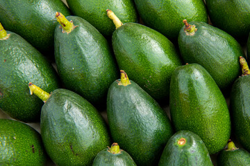 avocado at the market
