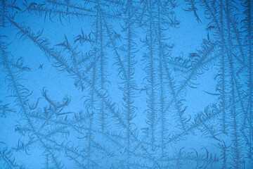 frost crystal on window glass in winter season