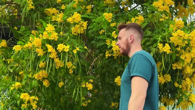 Portrait of handsome young allergic man is suffering from pollen allergy or cold on natural flowers, flowering tree background at spring or sunny summer day, sneezes, blowing his runny nose rubs eyes