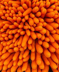 carrots at the market