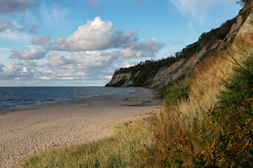 Landscape of the Baltic Sea coast in northern Europe. High steep cliff, sandy beach. Warm autumn day, yellow colors of golden autumn.