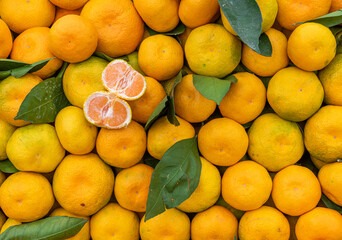 lemons and oranges