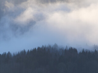 Mer de nuage au dessus de la forêt