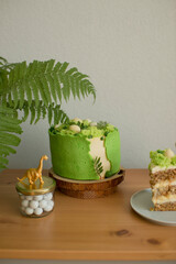 Cake decorated with decorative green moss for a children's holiday
