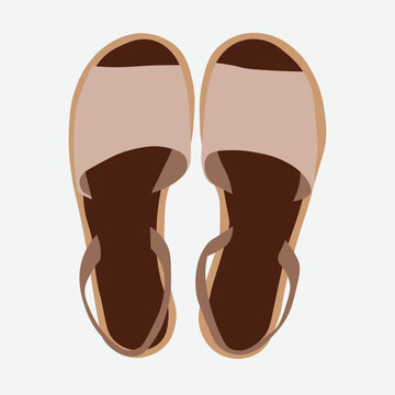 Top view vector illustration of female shoes