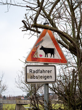 Radfahrer absteigen - Vorsicht Kuh