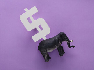 Toy elephant with dollar symbol on purple background