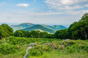 Fototapeta na wymiar A Perfect Day for Hiking in Shenandoah National Park Virginia USA, Virginia