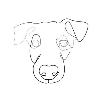 One line drawing of a puppy's muzzle. Dog line drawing, illustration