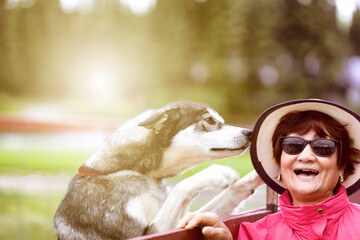 Senior woman outdoors laughing while dog jumping on wooden fence to kiss her