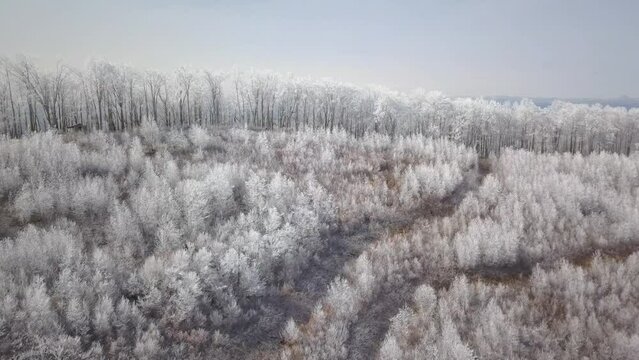 Aerial view of rime covered mountains.