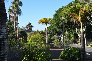 Fototapeta na wymiar Parque urbano de San Juan, Telde, Gran Canaria, Spain