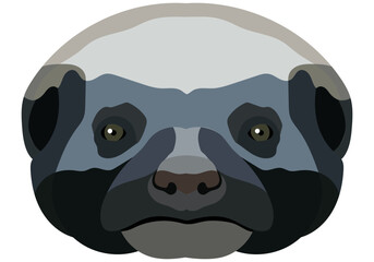 Vector Illustrated portrait of a honey badger. Cute Ratel face isolated on white background.