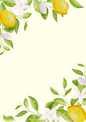 Card template, frame of watercolor hand drawn blooming lemon tree branches, flowers and lemons on white background