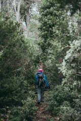 Obraz premium hiker in the woods