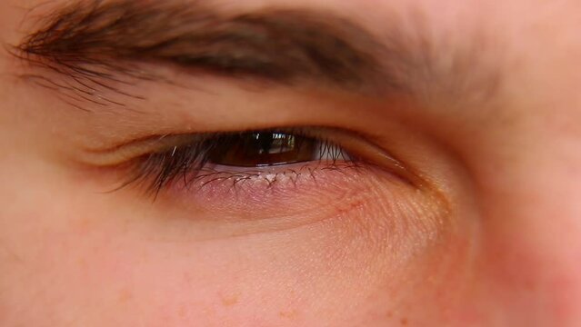 The sly, evil look of the guy. The sly look of a young man. Brown-eyed squints.