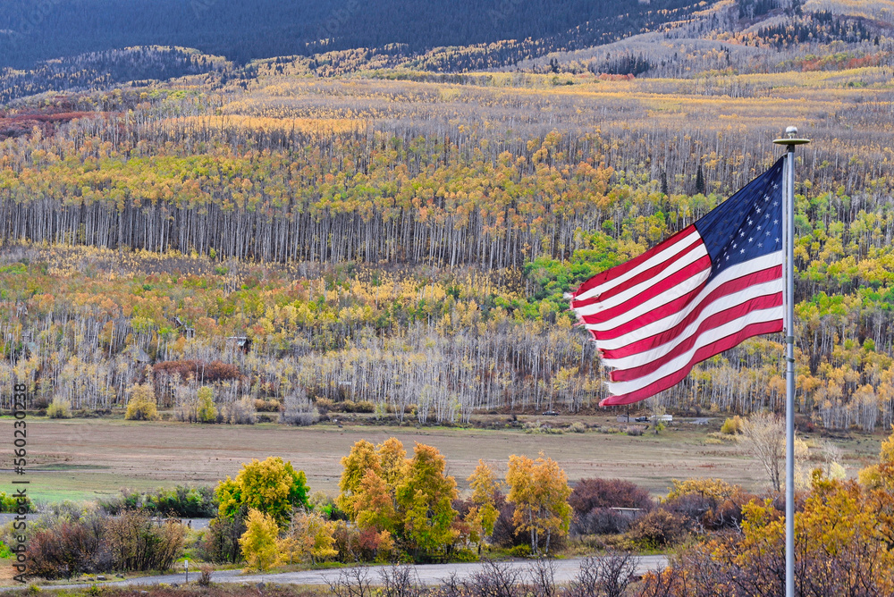 Wall mural flag and fall foliage