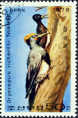 Cancelled postage stamp printed by North Korea, that shows Tristram's Woodpecker (Dryocopus...