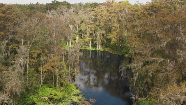 Aerial flight over remote Florida rivers