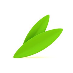 Two green leaves natural foliage mint vegetarian organic plant 3d icon realistic vector illustration