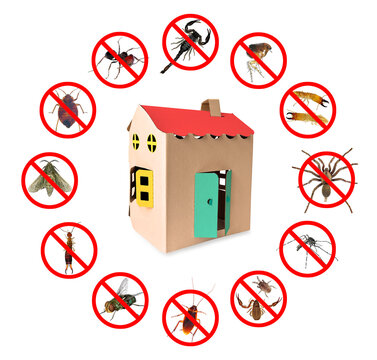 Pest control concept or prohibited housing insect pests