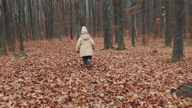 A girl of 4 years old runs through the autumn forest