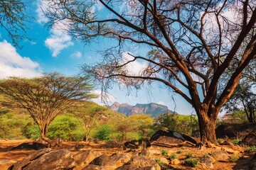 Naklejka premium Scenic view of mountains at Ndoto Mountains Range in Ngurunit, Marsabit County, Kenya