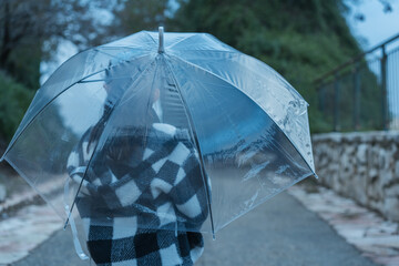 Back View Of Young Girl Holding Transparent Umbrella On Rainy Day.