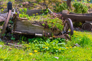 zniszczony wóz z kwiatami w ogrodzie