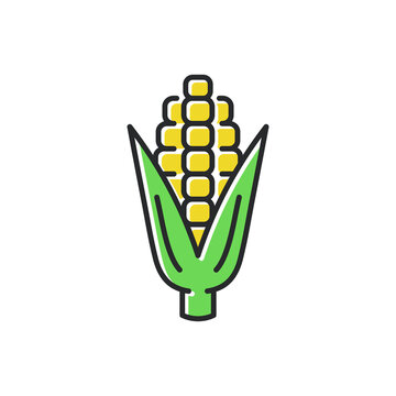recommend clip art: Corn line color icon. Ear of corn vector symbol.