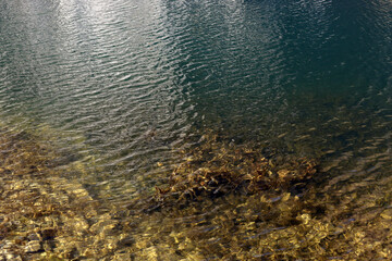 Natural water background. Ripple water surface. Close up of still water surface. 