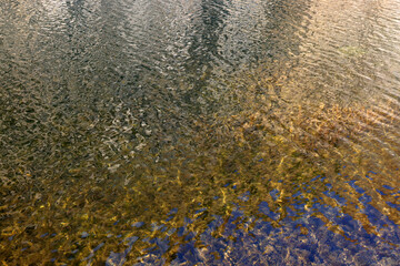 Natural water background. Ripple water surface. Close up of still water surface. 
