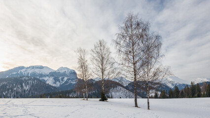 View of the winter snowy landscape with mountains in the background. High Tatras National Park, Slovakia, Europe.