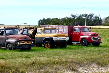 old trucks in a field