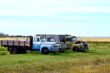 Fototapeta na wymiar old farm trucks in a field