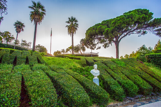 Park in Catania  Park in Catania named Villa Bellini  Amazing evening and beauty of nature: pinias and palm trees
