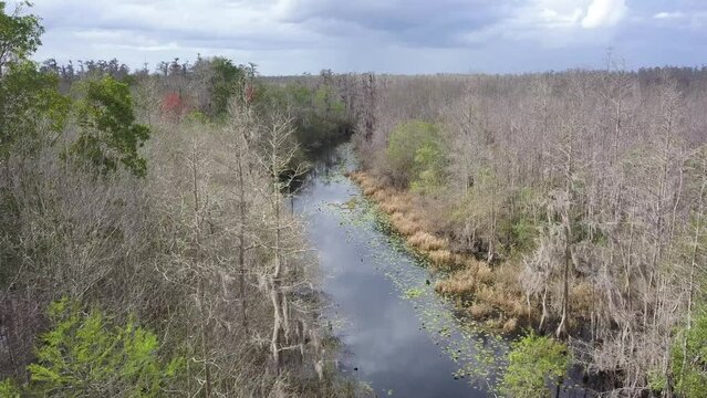 Aerial passage over the Suwannee River in late winter near Okefenokee, Ga, United States