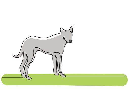 continuous line drawing standing young dog isolated pet animal - PNG image with transparent background