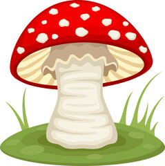 Vector illustration of a red-capped mushroom with a white stalk growing on a grassy green pad.