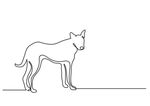 continuous line drawing standing young dog - PNG image with transparent background