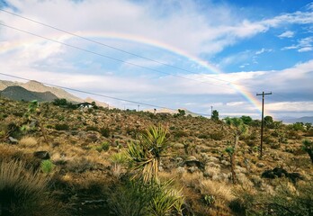 Fototapeta na wymiar Desert Rainbow