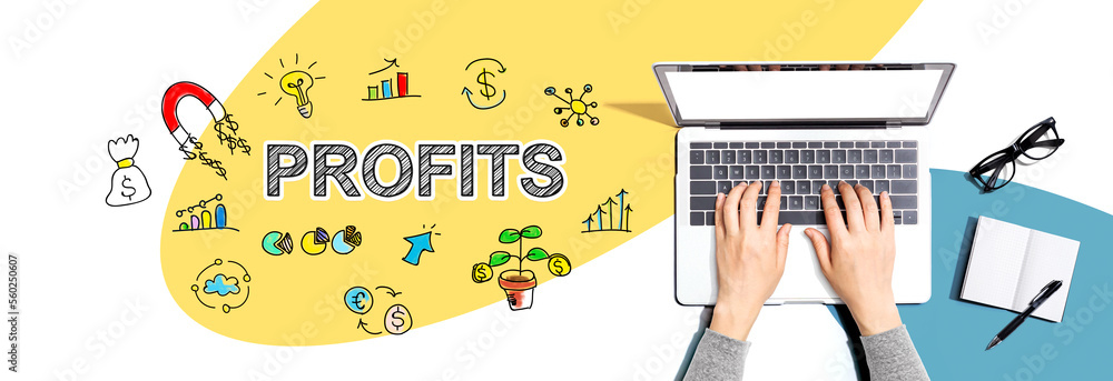 Poster profits with person using a laptop computer
