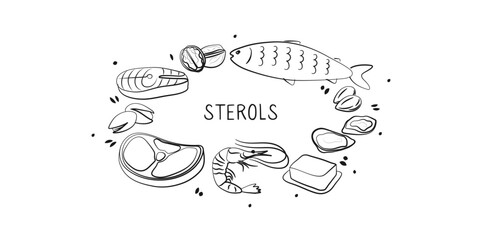 Sterols-containing food. Groups of healthy products containing vitamins and minerals. Set of fruits, vegetables, meats, fish and dairy.