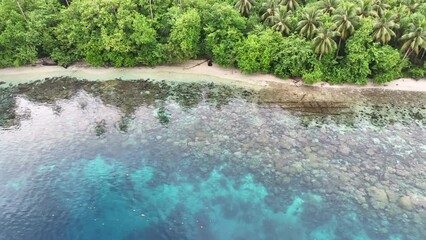 A healthy coral reef grows along the edge of a remote, tropical island in the Solomon Islands. This beautiful country is home to spectacular marine biodiversity and many historic WWII sites.